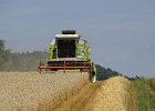 Claas Drescher 63